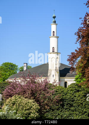 Le minaret de la grande mosquée de Bruxelles, Belgique, dépassant au-dessus des buissons dans le Parc du Cinquantenaire au printemps. Banque D'Images