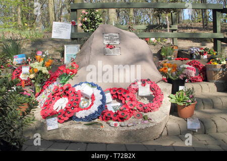 Mi Amigo, Endcliffe Memorial Park, Sheffield, South Yorkshire, Angleterre, Royaume-Uni Banque D'Images