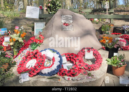 Mi Amigo, Endcliffe Memorial Park, Sheffield, South Yorkshire, Angleterre, Royaume-Uni Banque D'Images