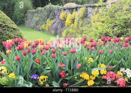 Hôtel de Tissington jardins au printemps, près de Ashbourne dans le parc national de Peak District, Derbyshire, Angleterre, Royaume-Uni Banque D'Images