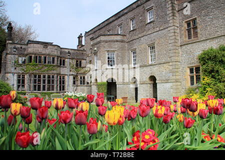 Hôtel de Tissington jardins au printemps, près de Ashbourne dans le parc national de Peak District, Derbyshire, Angleterre, Royaume-Uni Banque D'Images