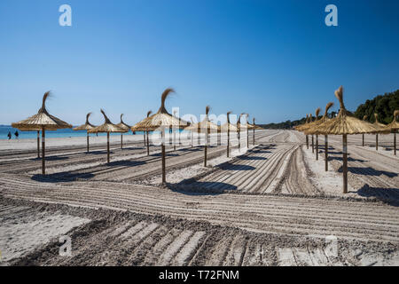 Des parasols de paille et de sable ratissée sur la plage de port d'Alcudia, Mallorca, Espagne. Banque D'Images