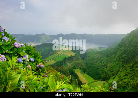 Açores vue panoramique du paysage naturel magnifique, l'île pittoresque du Portugal. Beaux lagons des cratères volcaniques et de champs. Attra touristiques Banque D'Images