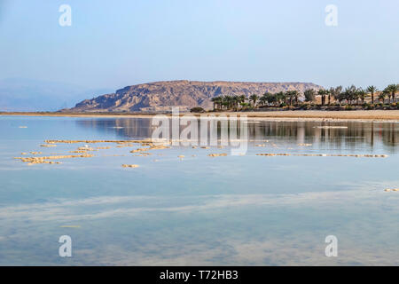 Reflet de la montagne et de palmiers dans l'eau salée de la Mer Morte. Paysage Banque D'Images