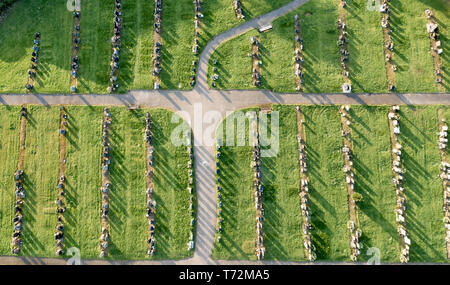 Drone aérien vue de cimetière avec ling abstract shadows Banque D'Images