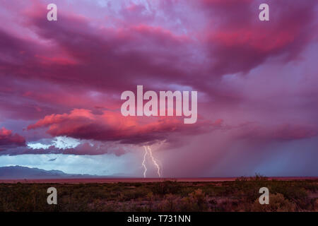 Des éclairs lointains frappent avec des nuages de tempête roses spectaculaires au coucher du soleil dans le désert près de Willcox, Arizona, États-Unis Banque D'Images