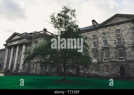 Le Campanile à l'intérieur du Trinity College de Dublin, Irlande campus Banque D'Images