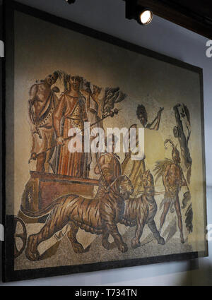 Mosaïque romaine du triomphe de Bacchus. Il représente le dieu dans un char tiré par deux tigres, à côté d'une victoire ailée et un satyre. La procession est dirigé par une danse de Sophocle (seulement partiellement conservé), suivie par la Pan avec la nebris, guider les bêtes en tirant sur les rênes. À côté du tigre, une ménade avec une couronne de lierre et une torche et une fille. 2ème ANNONCE de siècle. En. De Caesaraugusta (Saragosse, Aragon, Espagne). Musée Archéologique National. Madrid. L'Espagne. Banque D'Images