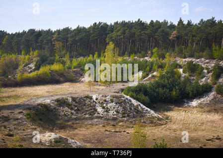 Paysage d'Tevener Heide Parc naturel dans le ressort , Allemagne, Rhénanie du Nord-Westphalie Banque D'Images