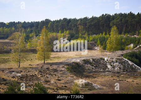 Paysage d'Tevener Heide Parc naturel dans le ressort , Allemagne, Rhénanie du Nord-Westphalie Banque D'Images