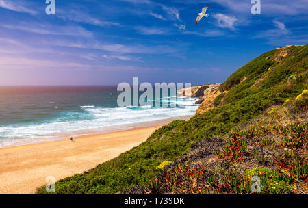 Vue de la plage de Monte Clerigo avec Mouettes volantes sur la côte ouest du Portugal, Algarve. Escaliers de la plage Praia Monte Clerigo près de Aljezur, Banque D'Images