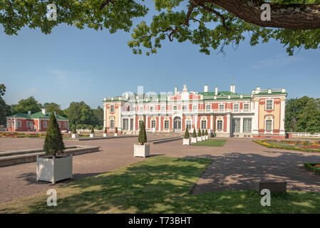 Branches de chêne l'élaboration d'une vue sur le Palais Kadriorg sur un après-midi d'été, Tallinn, Estonie Banque D'Images