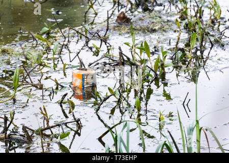 Un peut d'Iru-Bru dans Eliburn Reservoir, Livingston Banque D'Images