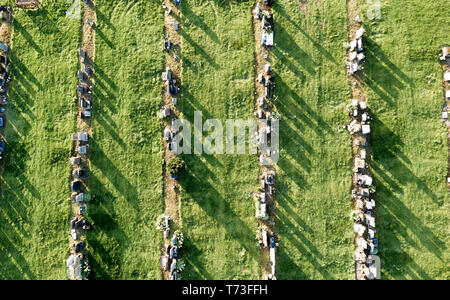 Drone aérien vue de cimetière avec ling abstract shadows Banque D'Images