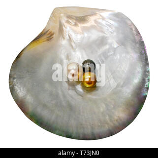 Birthstone juin shell avec perle de Tahiti, perle d'or et perle des mers du sud, isolé sur fond blanc Banque D'Images