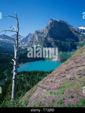 USA, Montana, Glacier National Park, Mount Gould et Angel tour d'aile au-dessus de Grinnell Lac qui est colorée par le limon glaciaire. Banque D'Images