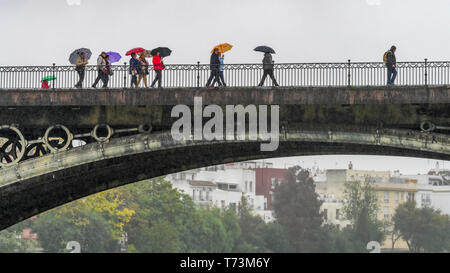 Les piétons qui traversent un pont des parasols sur un jour de pluie ; Séville, Espagne Banque D'Images