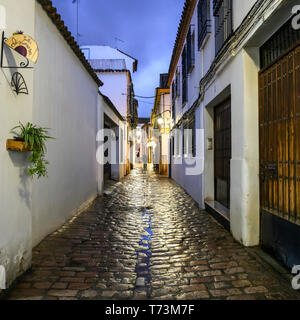 Dans une rue étroite entre les maisons humides de pluie, Cordoue, Espagne, province de Cordoue Banque D'Images