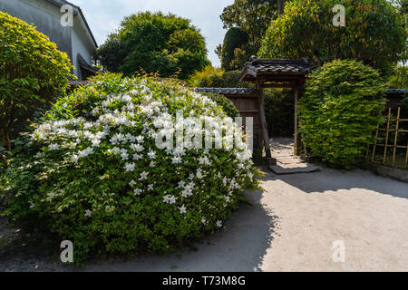 Le Jardin de Sata Mifune, Chiran Samurai Residence Garden, ville de Kyushu Minami, préfecture de Kagoshima, Japon Banque D'Images