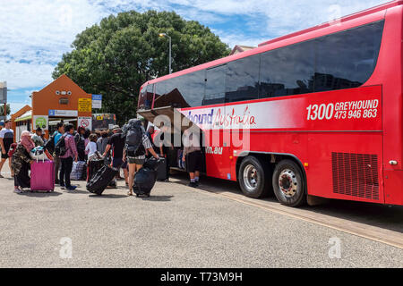 Les gens d'embarquer dans un bus greyhound dans Darwin, Territoire du Nord en Australie. Banque D'Images