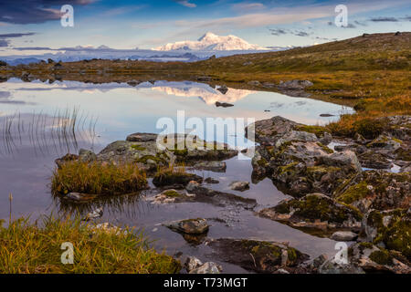 Vue panoramique sur le côté sud de Denali se reflétant dans un étang le long du sentier de la crête Kesugi, Denali State Park, le centre-sud de l'Alaska Banque D'Images