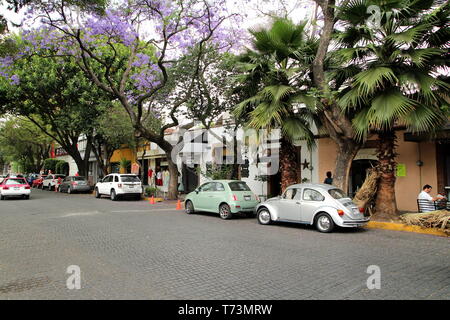 Quartier Coyoacan, Mexico. Banque D'Images