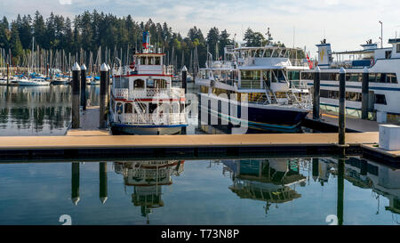Yachts et voiliers amarrés dans un port tranquille, Bayshore West Marina, le parc Stanley, Vancouver, British Columbia, Canada Banque D'Images
