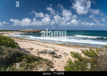 Strand und der Bucht Anse des châteaux auf der Halbinsel Pointe des Châteaux, la Guadeloupe, Frankreich | Beach et bay Anse des châteaux, la pointe des Banque D'Images