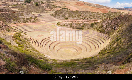 Place de l'archéologue de Moray près de Cuzco, Pérou. Les Incas laboratoire plantes Banque D'Images