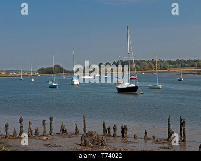 La rivière Deben à Woodbridge, l'un des plus beaux estuaires en Angleterre, de nombreux bateaux à voile, Woodbridge, Suffolk, Angleterre, Royaume-Uni, Banque D'Images