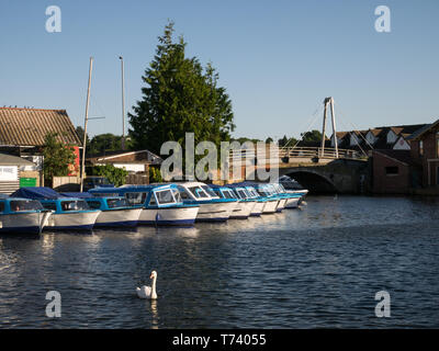 Bateaux à moteur et des croiseurs, amarré sur la rivière Bure dans Wroxham, capitale de Norfolk Broads, Wroxham, Norfolk, England, UK Banque D'Images
