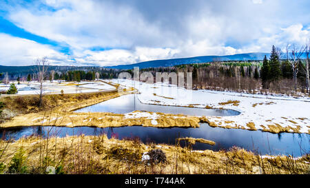 La doublure de la neige et de la glace des ruisseaux et zones humides en hiver parc provincial Wells Gray dans le Cariboo Mountains of British Columbia, Canada Banque D'Images