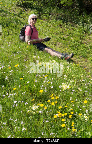 Femme mûre dans la cinquantaine se reposer tout en prenant une marche dans les fleurs sauvages, sac à dos, la carte, des shorts, des vêtements appropriés, Sussex, UK. Printemps, avril. Banque D'Images