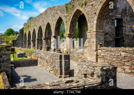 Baltinglass Abbey ; Baltinglass, comté de Wicklow, Irlande Banque D'Images