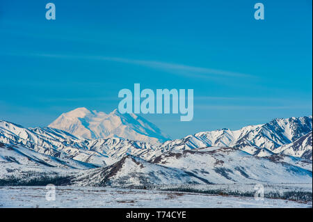 Au début du printemps dans le Parc National Denali panoramique et de préserver dans le centre-sud de l'Alaska ; Alaska, États-Unis d'Amérique Banque D'Images