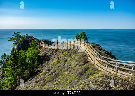 La promenade menant à une vue imprenable sur la plage de Muirs en Californie du Nord ; Stinson Beach, Californie, États-Unis d'Amérique Banque D'Images