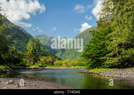 Vallée Waipio et ruisseau, Hamakua Coast, près de Honokaa ; île de Hawaii, Hawaii, United States of America Banque D'Images