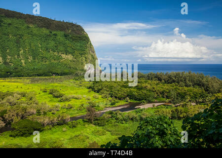 Vallée Waipio et ruisseau, Hamakua Coast, près de Honokaa ; île de Hawaii, Hawaii, United States of America Banque D'Images