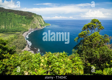 La vallée de Waipio, Lookout Waipio Hamakua Coast, près de Honokaa ; île de Hawaii, Hawaii, United States of America Banque D'Images