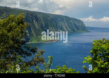 La vallée de Waipio, Lookout Waipio Hamakua Coast, près de Honokaa ; île de Hawaii, Hawaii, United States of America Banque D'Images