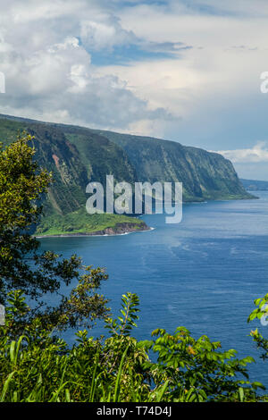 La vallée de Waipio, Lookout Waipio Hamakua Coast, près de Honokaa ; île de Hawaii, Hawaii, United States of America Banque D'Images