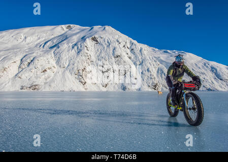 Un homme monté sur son fatbike congelés au lac Portage au milieu de l'hiver dans le centre-sud de l'Alaska ; Alaska, États-Unis d'Amérique Banque D'Images