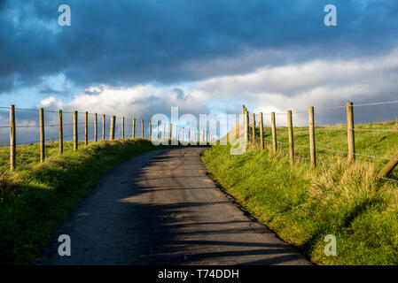 Route pavée, North Downs Way, le sud de l'Angleterre ; Kent, Angleterre Banque D'Images