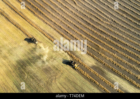 Vue aérienne à la recherche sur deux lignes de coupe de récolte combine le canola, l'ouest de Beiseker ; Alberta, Canada Banque D'Images