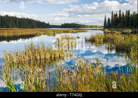 Le Parc provincial Duck Mountain, Manitoba, Canada Banque D'Images