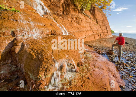 Randonnées à marée basse à côté les falaises de grès, le cap Blomidon Provincial Park dans le bassin Minas, baie de Fundy, en Nouvelle-Écosse, Canada Banque D'Images