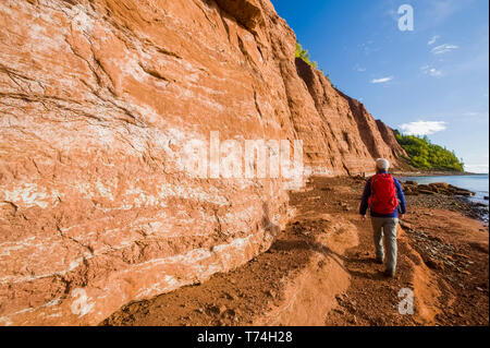 Randonnées à marée basse à côté les falaises de grès, le cap Blomidon Provincial Park dans le bassin Minas, baie de Fundy, en Nouvelle-Écosse, Canada Banque D'Images