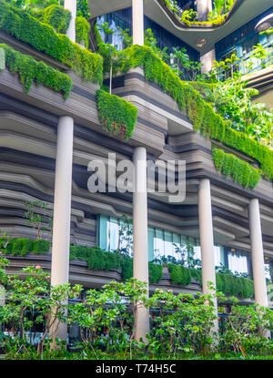 Parkroyal on Pickering Hotel avec jardins surélevés en terrasse dans le quartier chinois de Singapour Banque D'Images