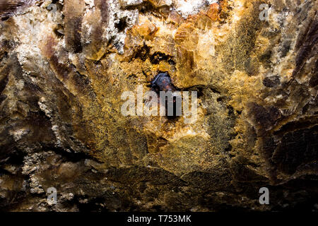 Macro-vision des stalactites grotte arrière-plan arrière-plan Banque D'Images