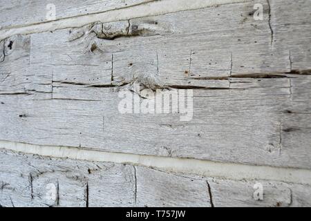 Old Grey Log Cabin avec Boucher Banque D'Images